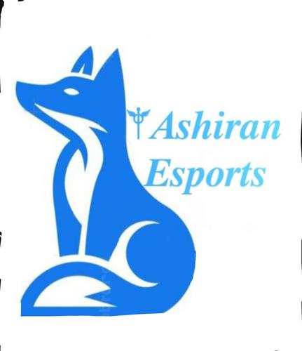⚚Ashrian Esports