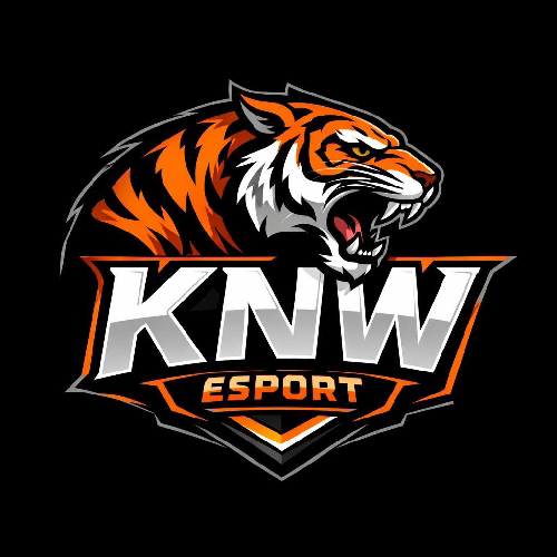 KNW ESPORTS