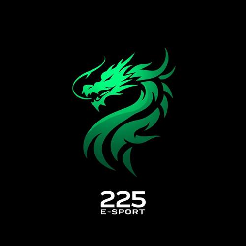 225 E´SPORTS