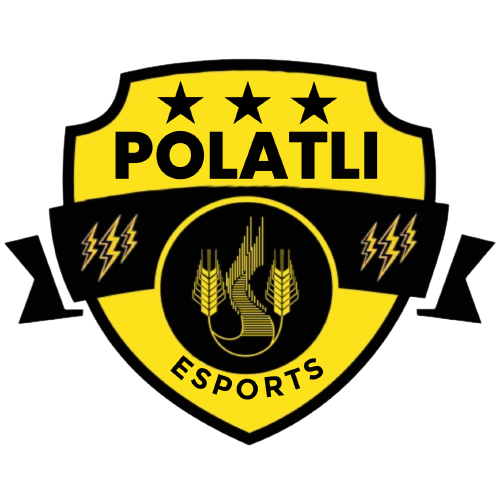 POLATLI ESPORTS