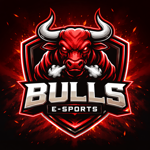 BULLSヽE-SPORTS