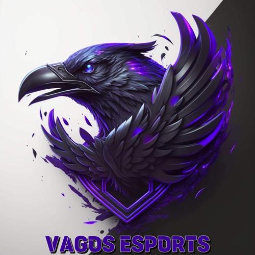 VAGOS ESPORTS BG