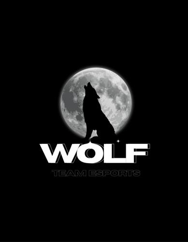 Wolf Team E-Sports