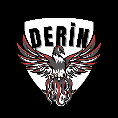 DERİN ESPORTS