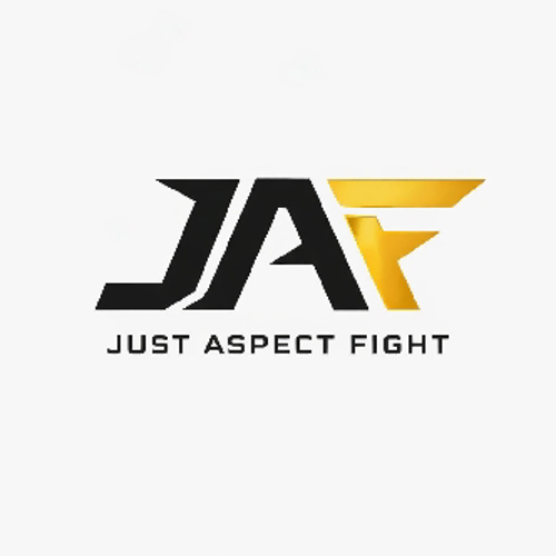 JUST ASPECT FİGHT