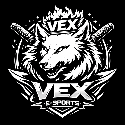 VEX E SPORTS