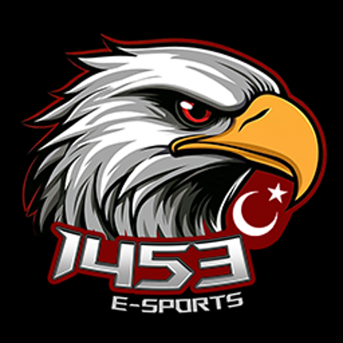 1453 Esports