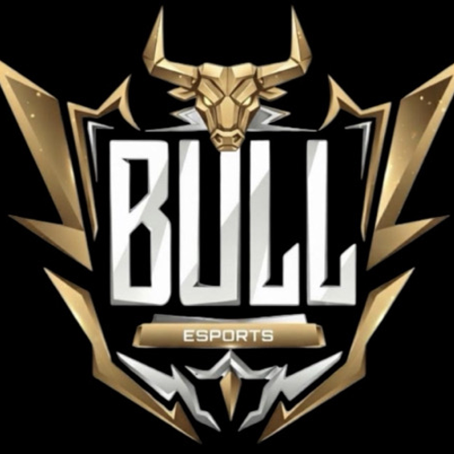 BULL ESPORTS