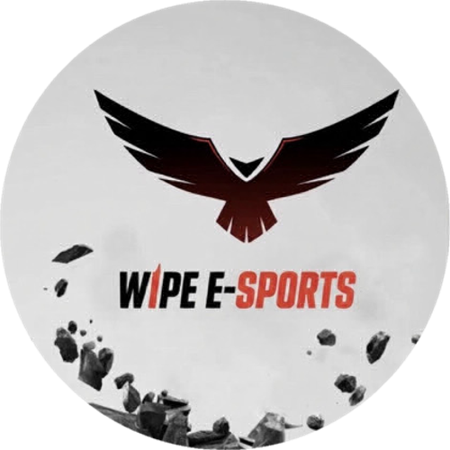 WPE E-SPORTS