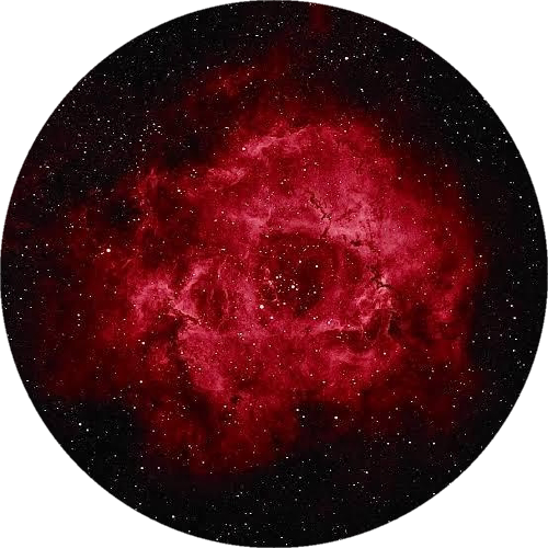 NEBULA ROSE