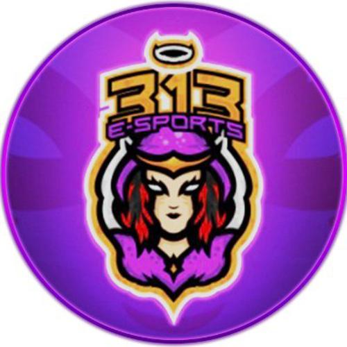 '313' Esports