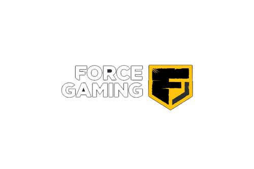 Force Gaming