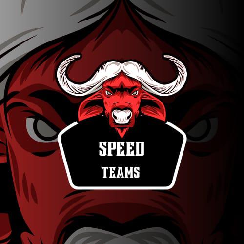 SPEED TEAMS