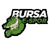 BURSA ESPOR