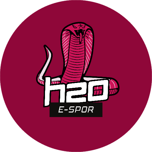 H2O ESPORTS