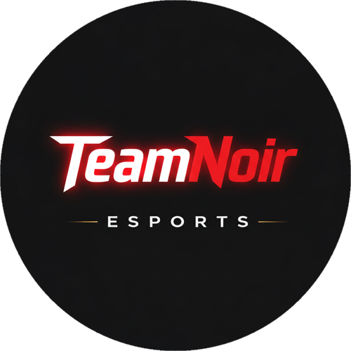 TeamNoir