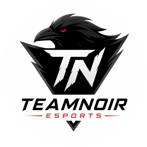 TeamNoir