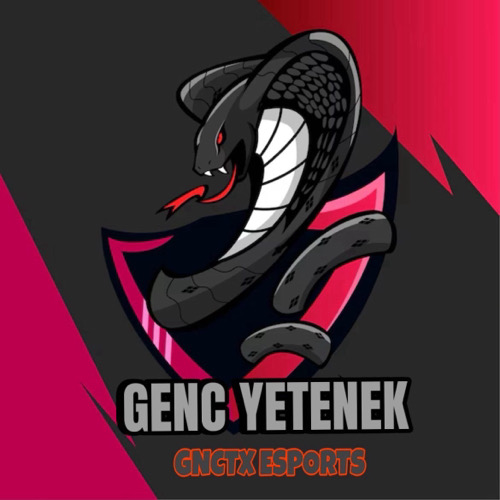 Genç Yetenek