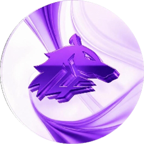 ULR E-SPORTS