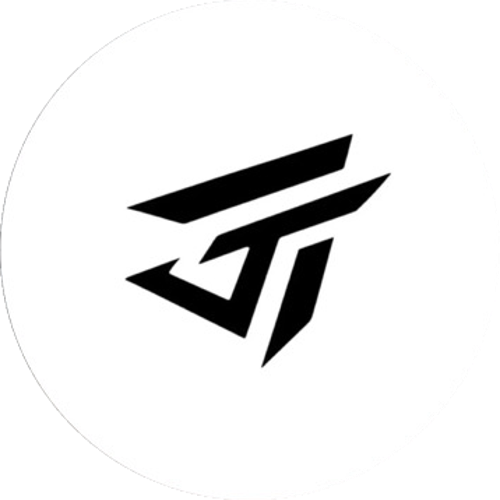 T1NGESPORTS