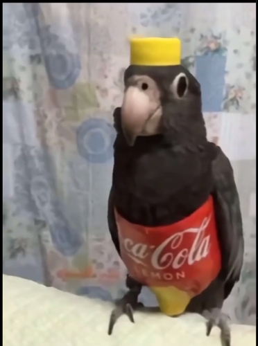 Oskins