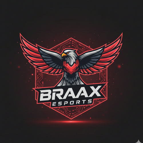 BRAXX ESPORTS