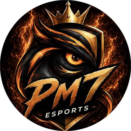 PM7 ESPORTS