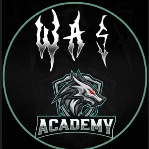 Was'Academy