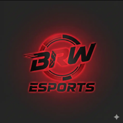 BRW ESPORTS