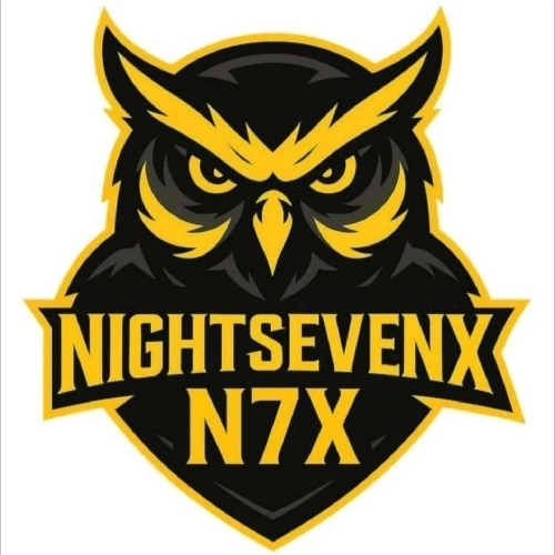 NİGHTSEVENx ESPORTS