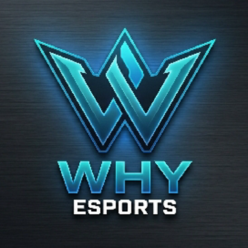 (:WHY:) E-SPORTS