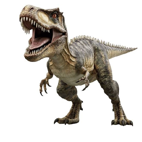 TreX TEAM