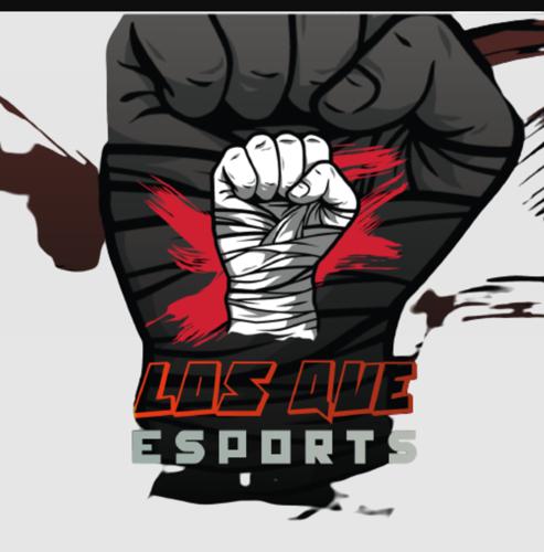 LOS QUE ESPORTS