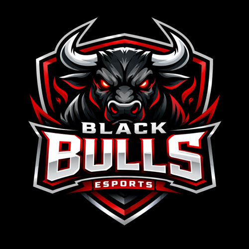 Black Bulls E Spor