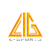 LIG ESPORTS