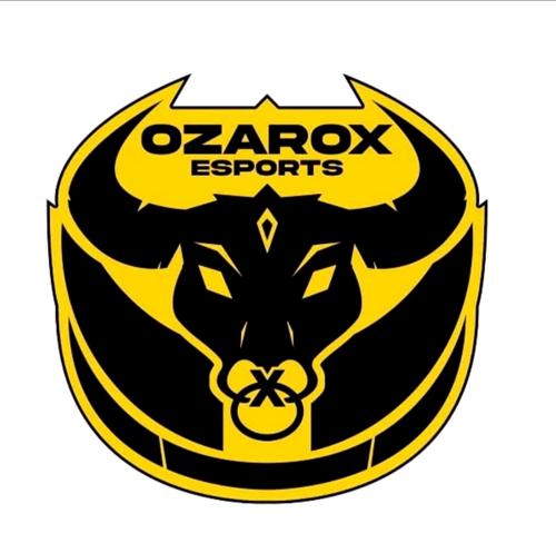 Ozarox academy