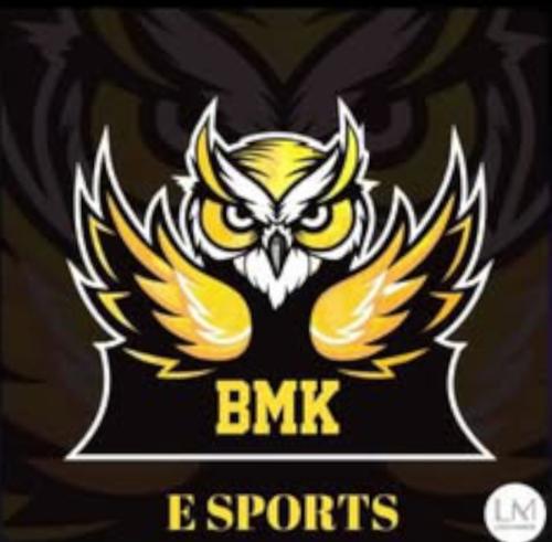 BMK E SPORTS