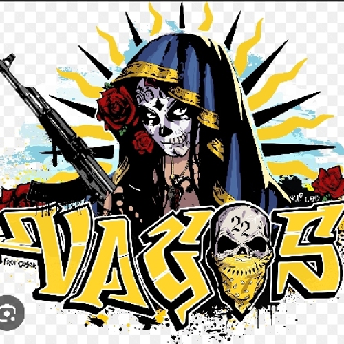 Vagos 🤍