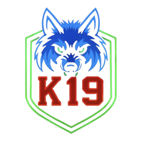 K19