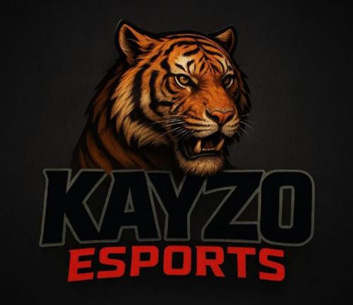 KAYZO E-SPOR
