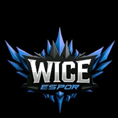 Wice Espor
