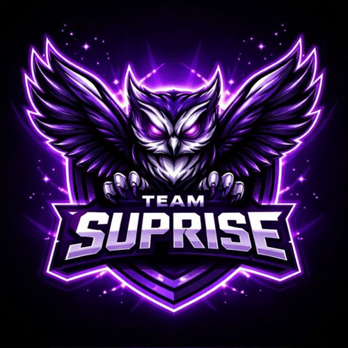 TEAM SUPRİSE
