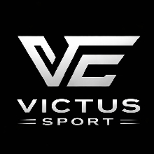 VICTUS  ESports