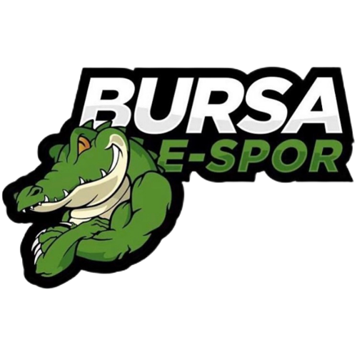 BURSA ESPORTS