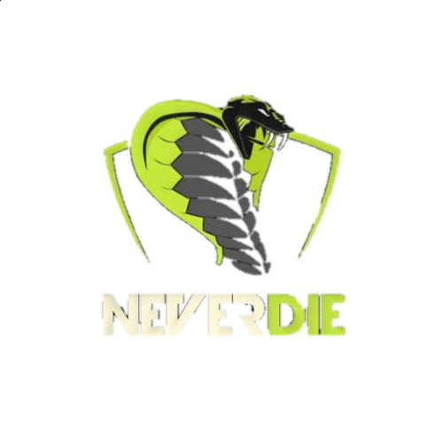 NeverDie E-Sport