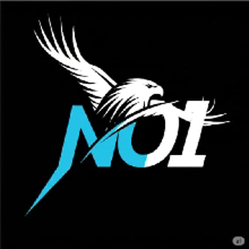 N01 Esports