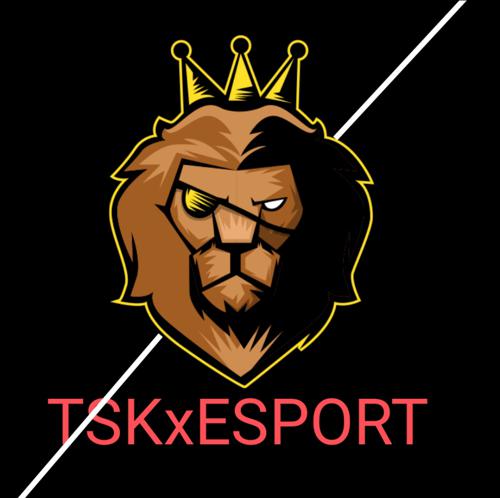 TSKxESPORT