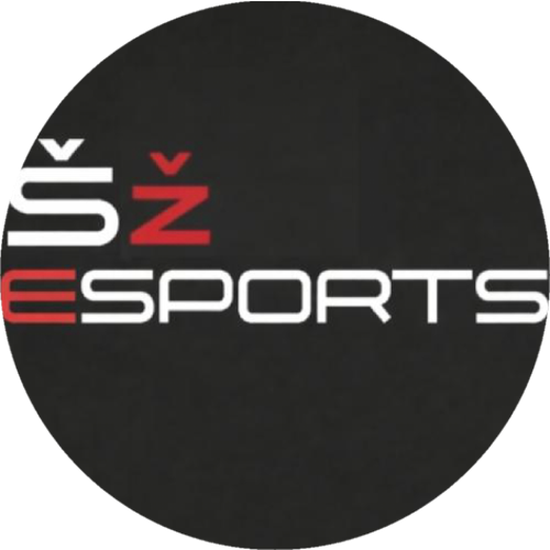 Śž E-sports