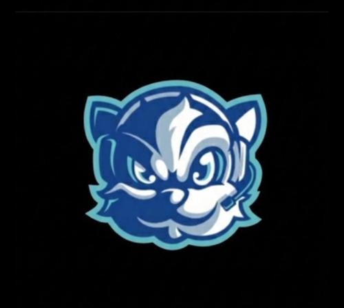 Talas Gücü Belediye Espor