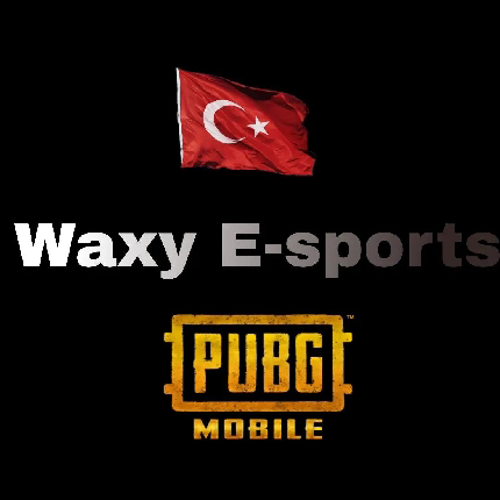 Waxy E-Sports